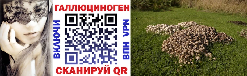 Галлюциногенные грибы MAGIC MUSHROOMS Шатура
