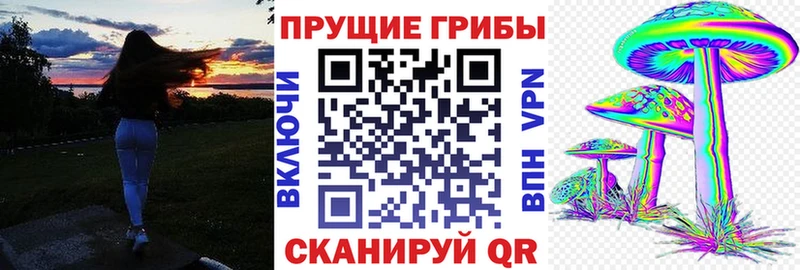 Галлюциногенные грибы Psilocybe  магазин продажи   нарко площадка телеграм  Шатура 